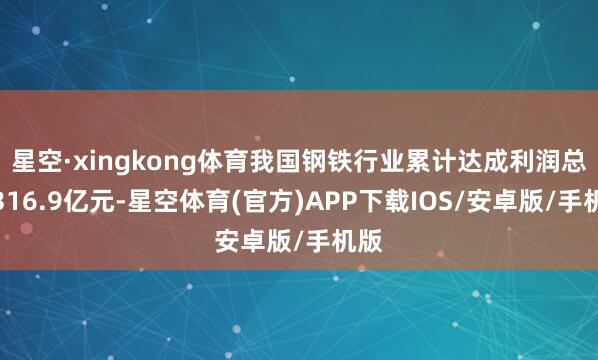 星空·xingkong体育我国钢铁行业累计达成利润总和316.9亿元-星空体育(官方)APP下载IOS/安卓版/手机版