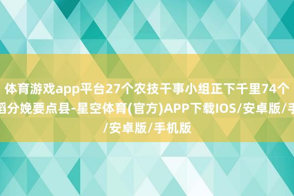 体育游戏app平台27个农技干事小组正下千里74个双季稻分娩要点县-星空体育(官方)APP下载IOS/安卓版/手机版