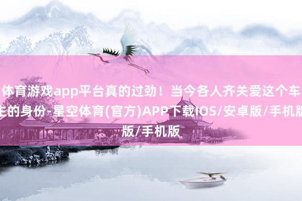 体育游戏app平台真的过劲！当今各人齐关爱这个车主的身份-星空体育(官方)APP下载IOS/安卓版/