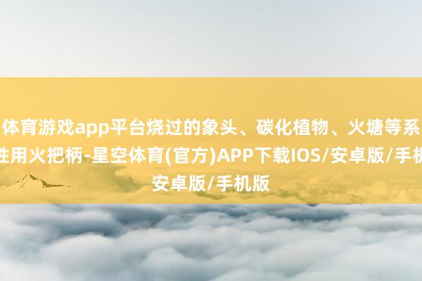 体育游戏app平台烧过的象头、碳化植物、火塘等系统性用火把柄-星空体育(官方)APP下载IOS/安卓版/手机版