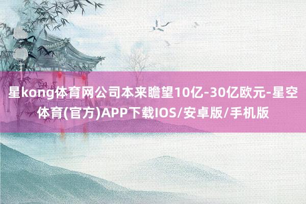 星kong体育网公司本来瞻望10亿-30亿欧元-星空体育(官方)APP下载IOS/安卓版/手机版