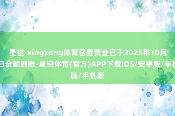 星空·xingkong体育召募资金已于2025年10月22日全额到账-星空体育(官方)APP下载IOS/安卓版/手机版