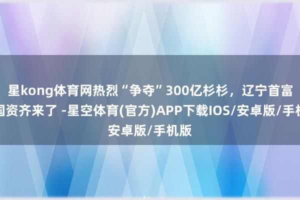 星kong体育网热烈“争夺”300亿杉杉，辽宁首富、国资齐来了 -星空体育(官方)APP下载IOS/安卓版/手机版