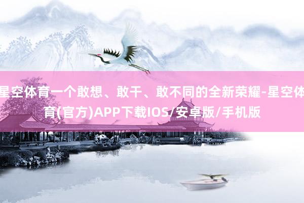 星空体育一个敢想、敢干、敢不同的全新荣耀-星空体育(官方)APP下载IOS/安卓版/手机版